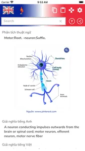 Từ điển Ngoại Thần kinh screenshot 2
