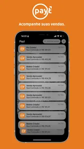 Payt screenshot 0