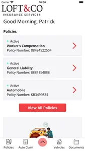 Loft & Co Insurance Service screenshot 1