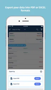 Digital Cashbook: Manage Money screenshot 3