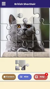 British Shorthair Puzzle screenshot 0