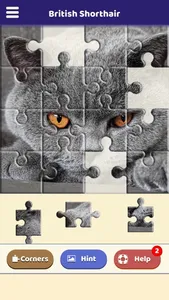 British Shorthair Puzzle screenshot 1