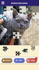 British Shorthair Puzzle screenshot 2