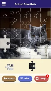 British Shorthair Puzzle screenshot 3