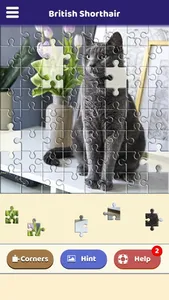 British Shorthair Puzzle screenshot 4