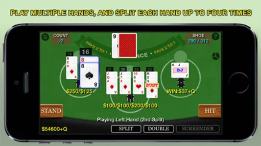 Blackjack 21 Pro Multi-Hand screenshot 0