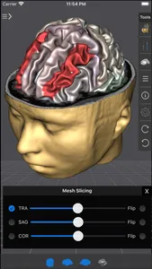 Brain Tutor 3D screenshot 0