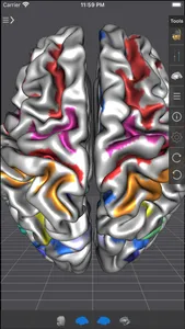 Brain Tutor 3D screenshot 2