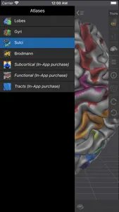 Brain Tutor 3D screenshot 3