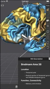 Brain Tutor 3D screenshot 4