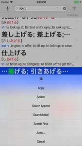 wishoTouch Japanese dictionary screenshot 5