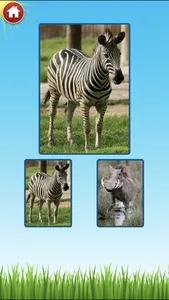 Zoo Sounds - Fun Educational Games for Kids screenshot 2