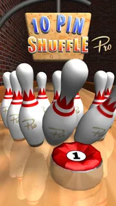 10 Pin Shuffle Pro Bowling screenshot 0