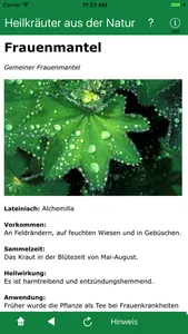 Heilkräuter aus der Natur screenshot 1