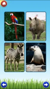 Zoo Sounds Lite - A Fun Animal Sound Game for Kids screenshot 1