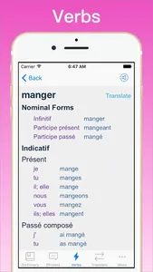 French Translator Dictionary + screenshot 4