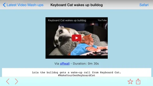 Play Him Off, Keyboard Cat! screenshot 2