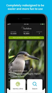 Audubon Bird Guide screenshot 0