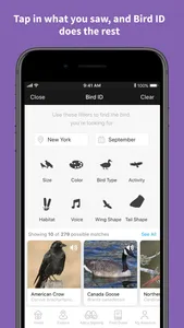 Audubon Bird Guide screenshot 2