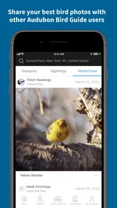 Audubon Bird Guide screenshot 4