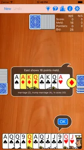 Pinochle Gold screenshot 8