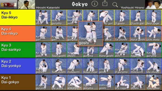 Judo Gokyo screenshot 2