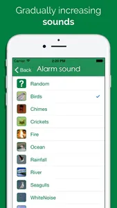 Light Alarm screenshot 1