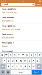 Spanish Phrasebook: Conversational Spanish screenshot 3