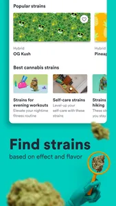 Weedmaps: Cannabis, Weed & CBD screenshot 3