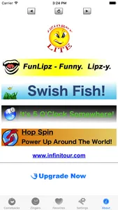 iZingerLite screenshot 4
