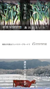 photoikku screenshot 4