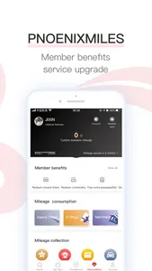 Air China screenshot 6