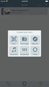Safe Companion screenshot 4