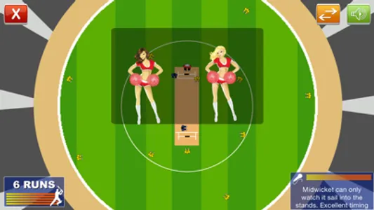 Cricket Power-Play screenshot 1