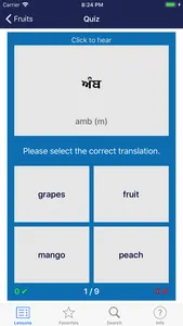 Learn Punjabi screenshot 3