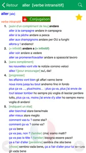 Dictionnaire italien Larousse screenshot 2