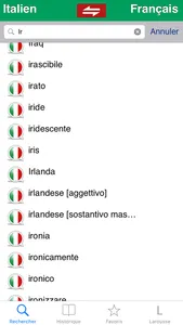 Dictionnaire italien Larousse screenshot 4