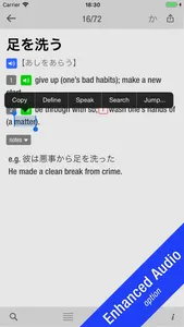 10000 Japanese Idioms screenshot 1