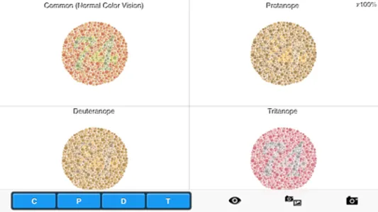 Chromatic Vision Simulator screenshot 4