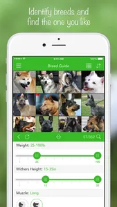 iKnow Dogs 2 PRO screenshot 1