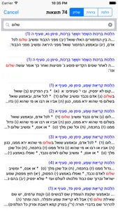 Esh Mishna Berura screenshot 3