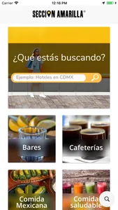 Sección Amarilla screenshot 0