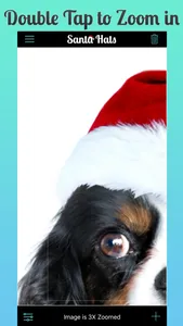 Santa Hats 2 screenshot 9