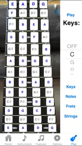 Bass Fretboard Addict screenshot 3