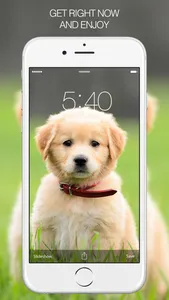 Puppy Wallpapers – Cute Puppy Pictures & Images screenshot 4