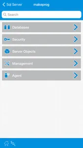 iSqlWebProg Sql Server Client screenshot 2