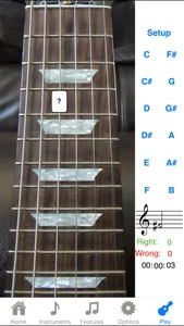 Electric Guitar Fretboard Lite screenshot 0