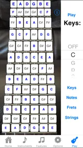 Electric Guitar Fretboard Lite screenshot 3