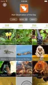 iNaturalist screenshot 2