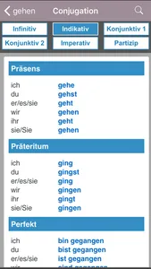 English-German Larousse screenshot 2